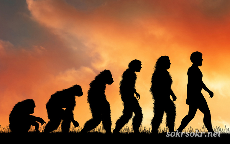 От Бога к Богу или от зверя к зверю?