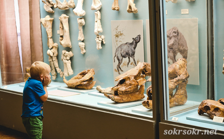 Тотальное зомбирование