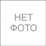 У Броварах дебютував перший християнський театр ляльок