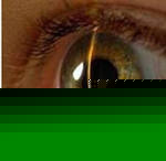 Програма з відновлення зору мала успіх в Чернівцях