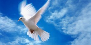 Адвентисты Днепра с радостью встретили семью Радионовых