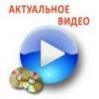 Власть системы. Нам и не снилось