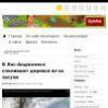 В Лос-Анджелесе спиливают деревья из-за засухи
