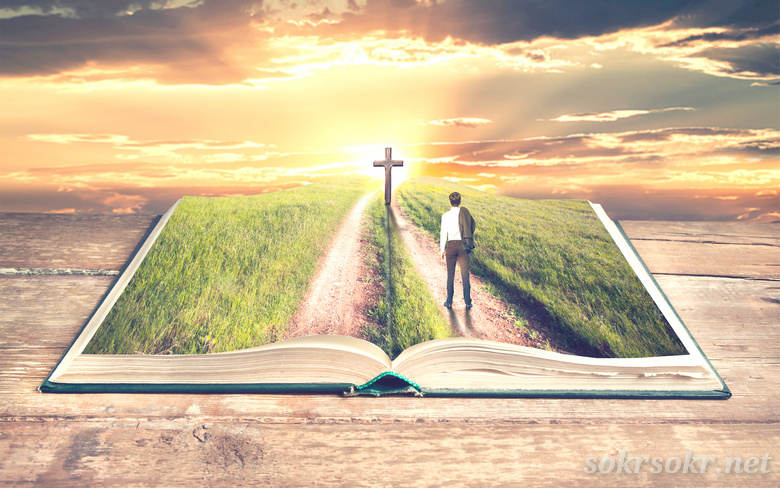 Готовность номер один