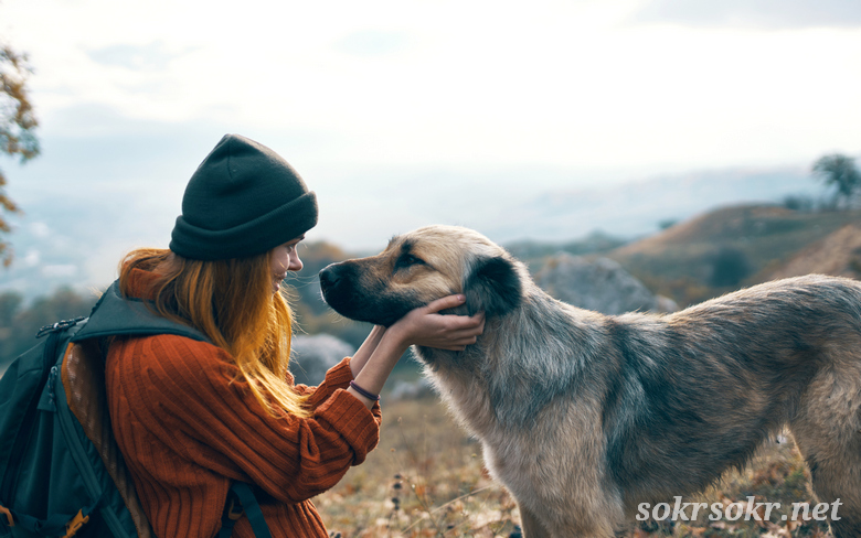 Библия об отношении к животным