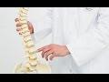 Как укрепить позвоночник?