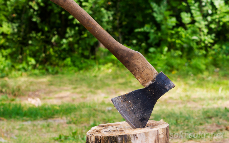 Тайна топора