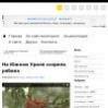 На Южном Урале созрела рябина