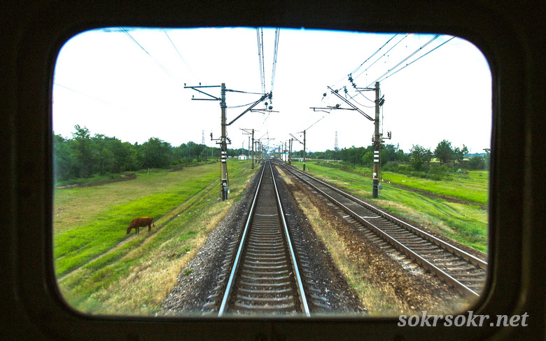 Мусульманский христианин