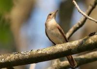 Поэзия и проза Александра Серкова
