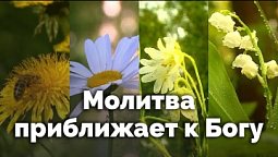 Молитва приближает к Богу | Вдыхание благодати