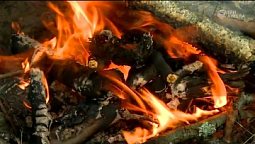 Шепот осени | С любовью к русской природе