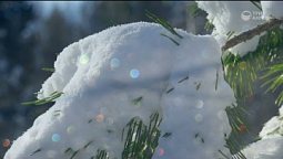 Просинец | Библия и природа