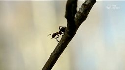 Оттаявшая земля | Библия и природа