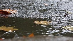 Дождливая осень | Библия и природа