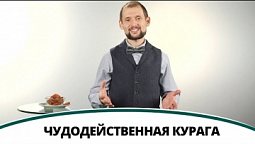 Чудодейственная курага | Полезная минутка