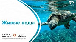 Живые воды  |  Фильмы