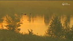 В строфах возвышенных | С любовью к русской природе