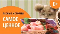 Самое ценное | Лесные истории (0+)