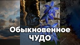 Обыкновенное чудо | С любовью к русской природе
