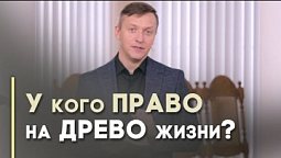 Кто окажется на небесах? | Благословения на каждый день