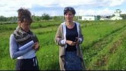 Трудовое воспитание 6. В огороде Сельского дома - Иван Галагаев