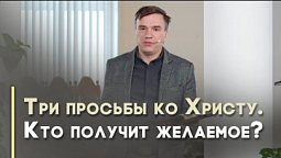 Свиньи и бесы | Благословения на каждый день