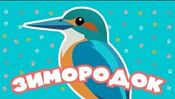 Творение учит нас | Зимородок