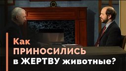 Жертвоприношения: как это было? | Загадки древних рукописей