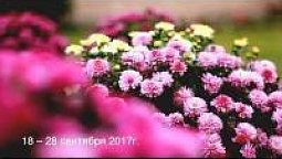 Видеонастроение 18−28.09.17