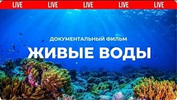 Живые воды. Разумный замысел в океанах Земли. Документальный фильм | Мифы эволюции ???? Live