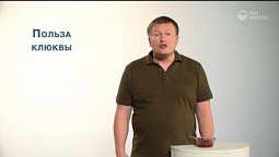 Польза клюквы