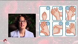 Коронавирус