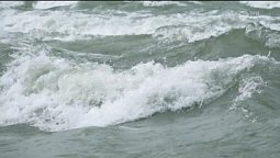 Летний ролик | С любовью к русской природе