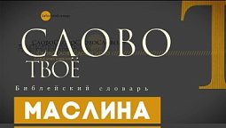 Библейский словарь: Маслина | Слово Твоё
