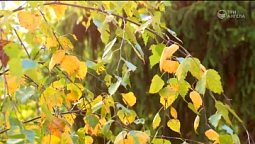 Осень | Библия и природа