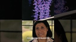 Бог на атомном уровне