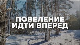Повеление идти вперед / Начни этот день с Богом (30.01.22) / утренняя молитва, духовный маяк