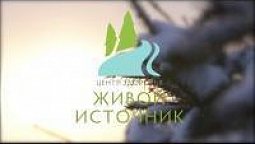 178 Видео отзывы госте