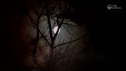 Сквозь ненастье | С любовью к русской природе