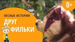 Друг Фильки | Лесные истории (0+)