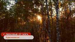 Краснолесье | С любовью от Бога