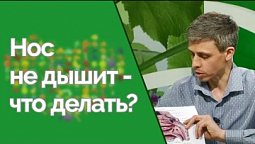 Как лечить заложенность носа? | Здравствуйте