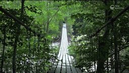 Мост через горную реку | С любовью к русской природе