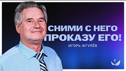 ???? СНИМИ С НЕГО ПРОКАЗУ ЕГО! / Проповедь. Игорь Жгулёв