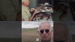 Динозавры и Библия