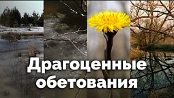 Драгоценные обетования | С любовью к русской природе