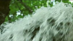 Лесная речка | С любовью к русской природе