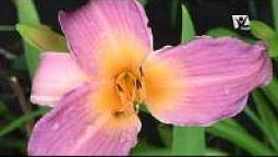 «ОЧІ» | …є Любов [02/17]