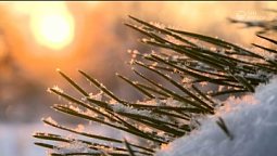 Январь | С любовью к русской природе